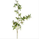 Green Quince Branch 42”