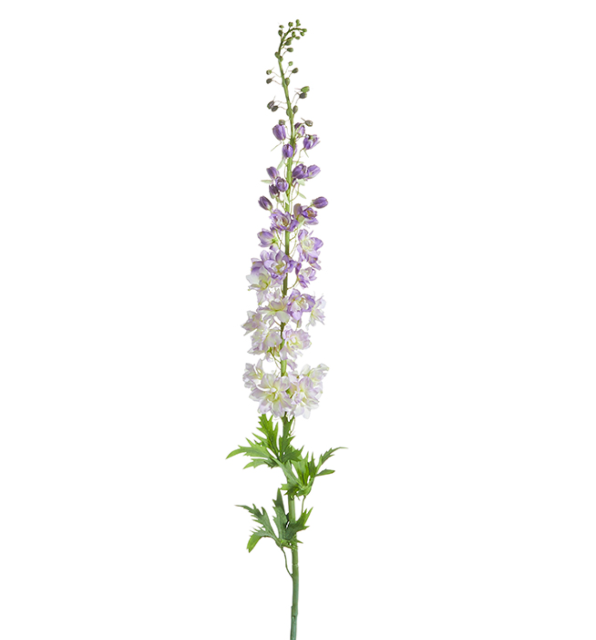 54" Delphinium Stem Purple