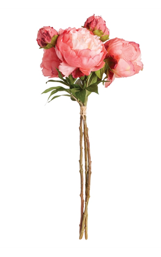 Peony Bundle/3 CORAL