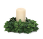 10" Pittosporum Candle Ring