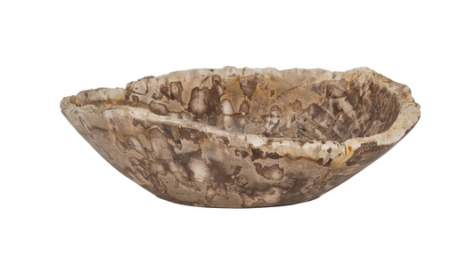 Petrified Wood 18" Oval Bowl