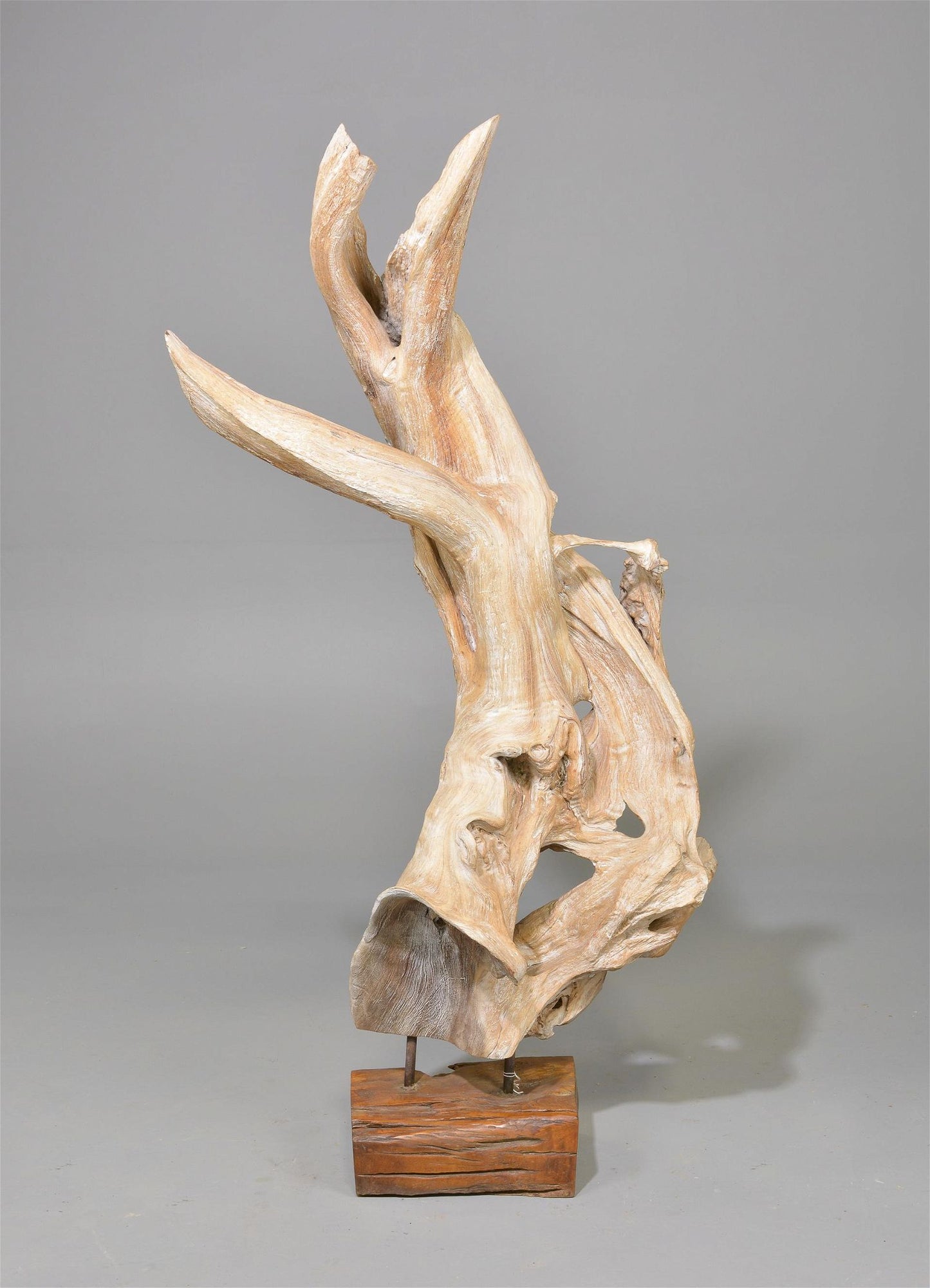 Teak Sculpture 30x24x59h