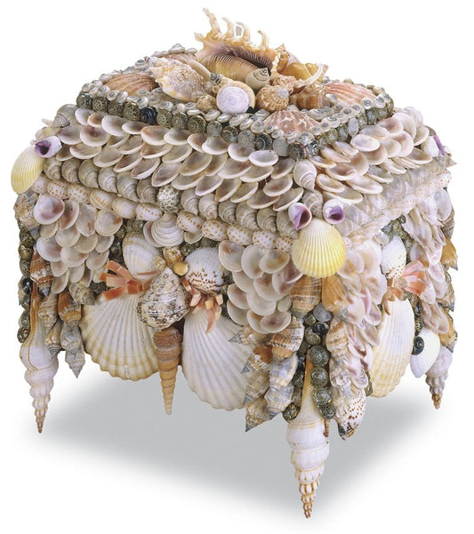 Shell Jewelry Box 10h