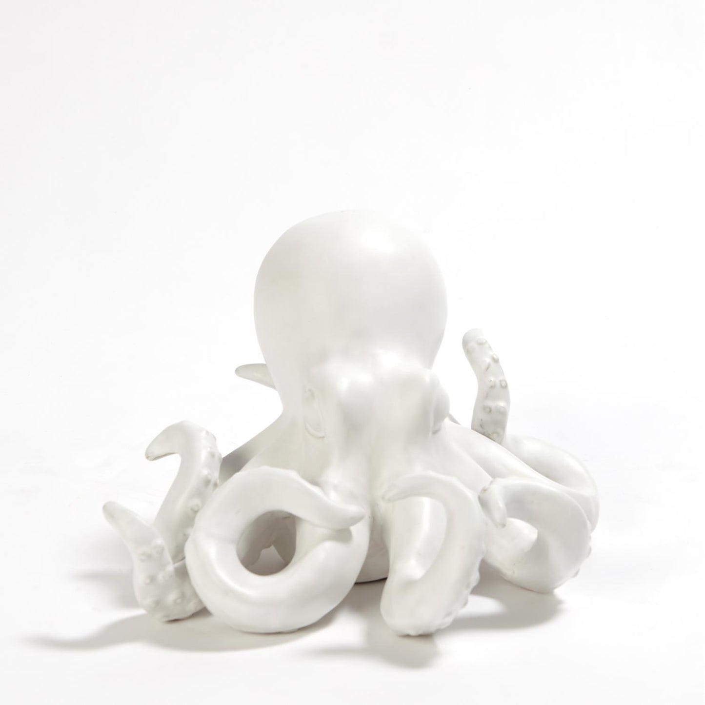 Octopus White