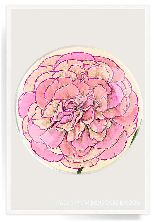 "Pink Flower" 6" Round Tray