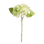 13" Real Tch Green Hydrangea