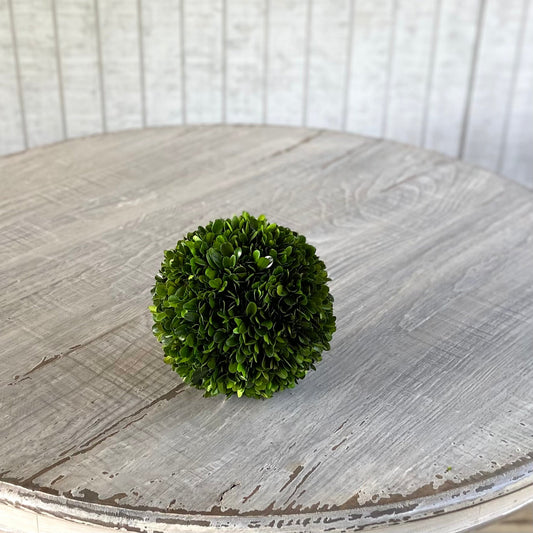 Preserved Boxwood Ball 10"