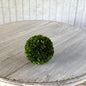 Preserved Boxwood Ball 10"