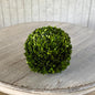 Preserved Boxwood Ball 12"