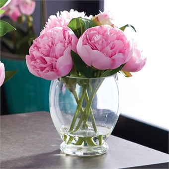 Peony Arrgmt in Vase Pink 9"