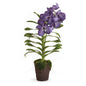 Vanda Drop In 30" Blue/Violet