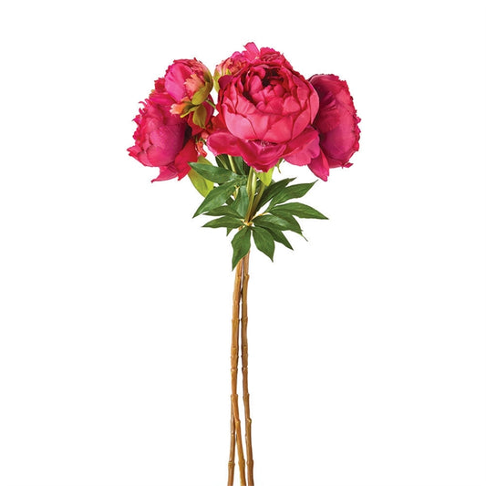 Peony Bundle/3 FUCHSIA