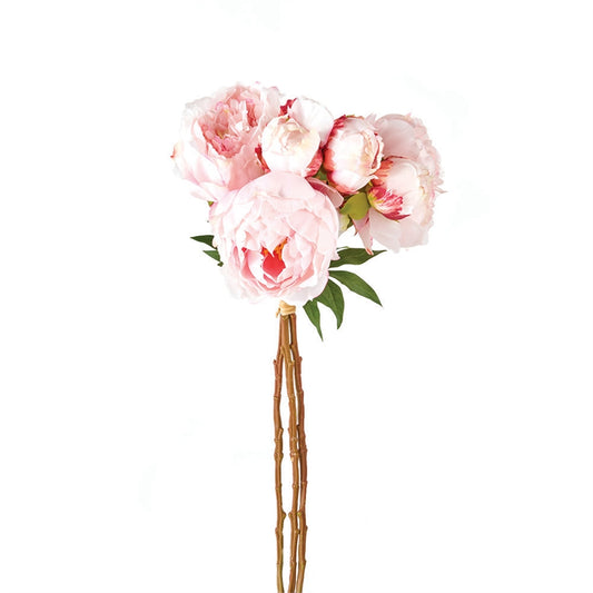 Peony Bundle/3 Light Pink