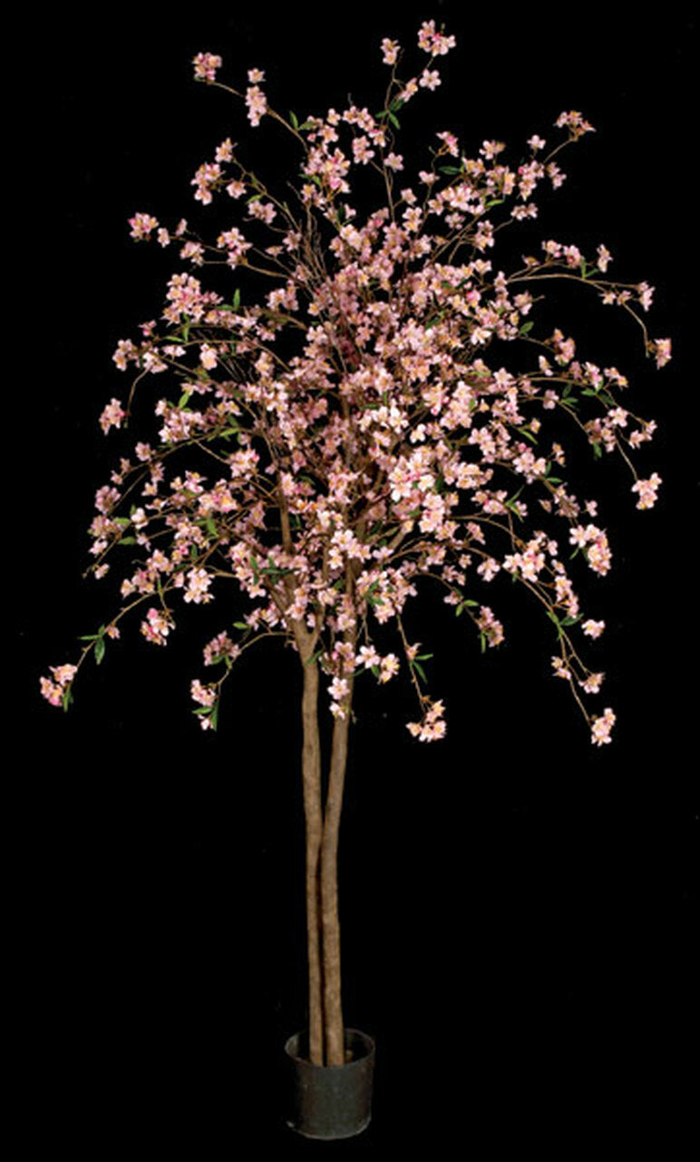 6.5' Pink Cherry Blossom Tree